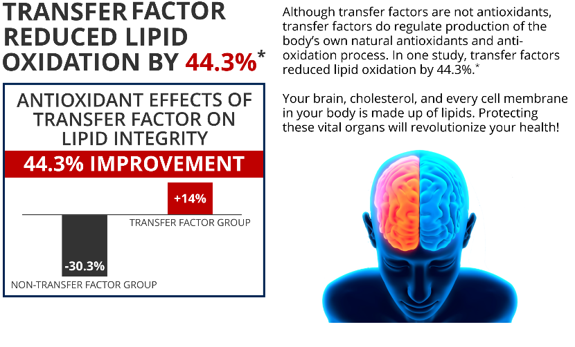 american dream nutrition transfer factor